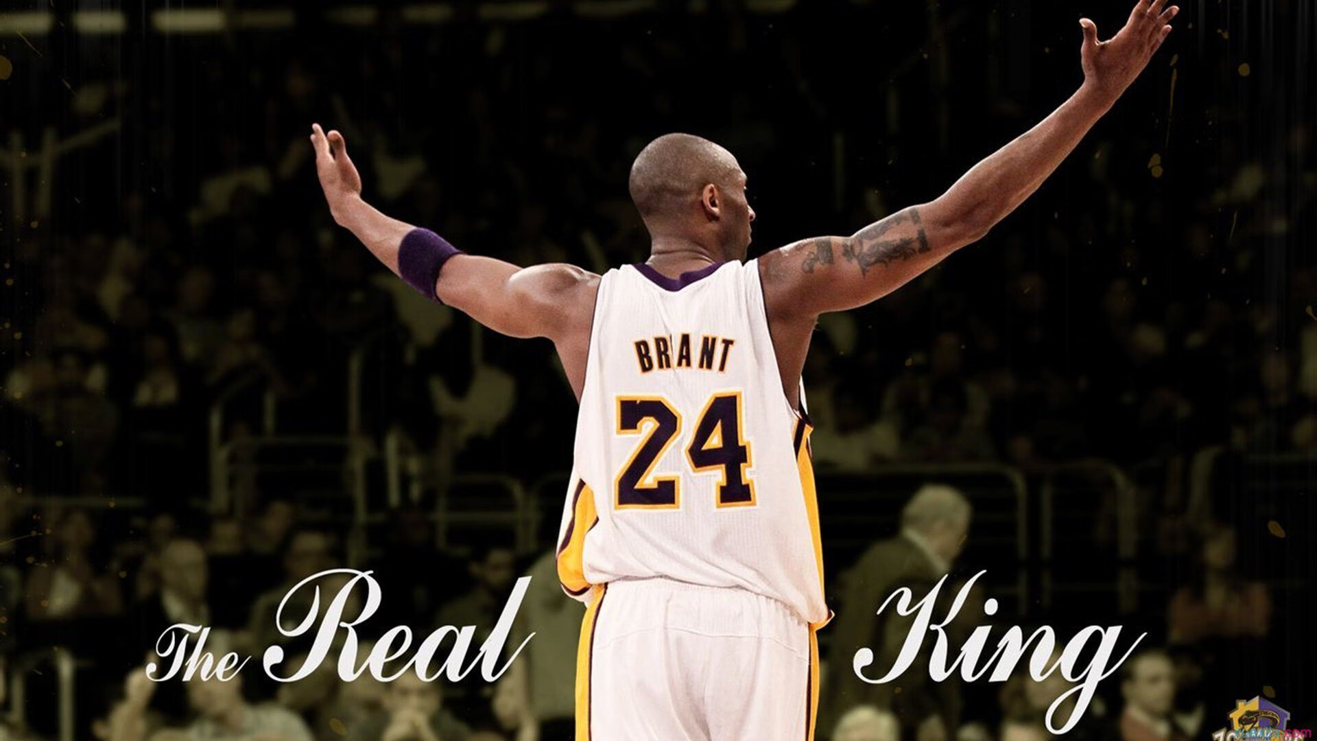 武切维奇攻防两端统治，火箭踏平爵士—内线霸权的现代诠释